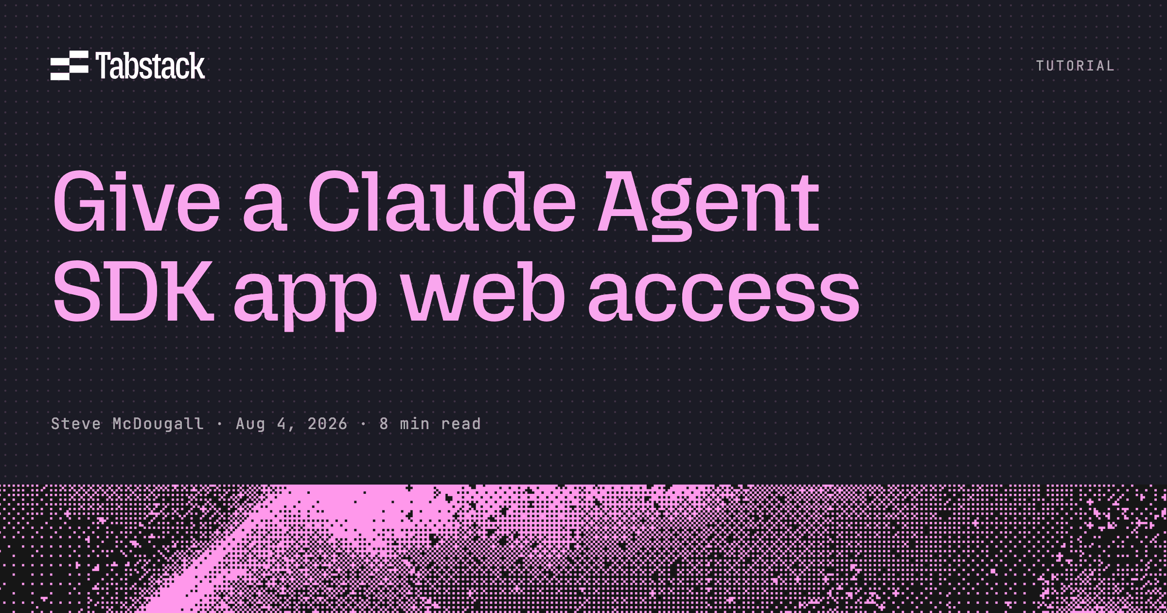 Give a Claude Agent SDK app web access